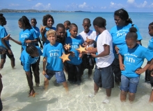 Final starfish picture before replacing back to the sea